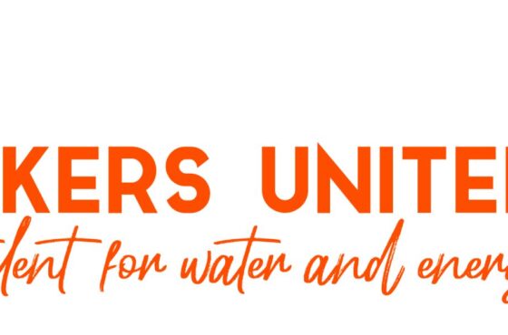 Samenwerking met Wavemakers